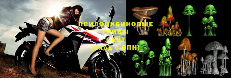 Галлюциногенные грибы MAGIC MUSHROOMS  купить закладку  Любань 